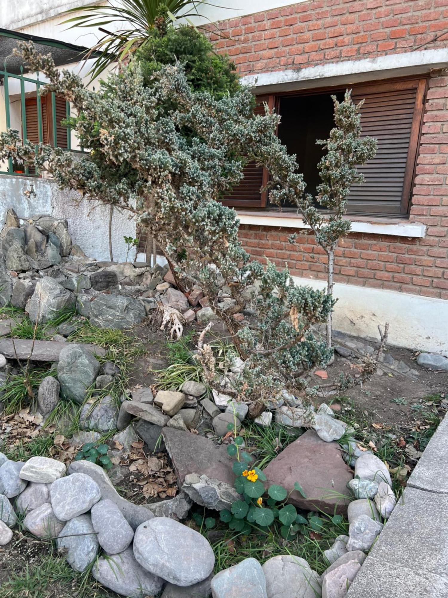 Cuyaya Hostel San Salvador de Jujuy Bagian luar foto